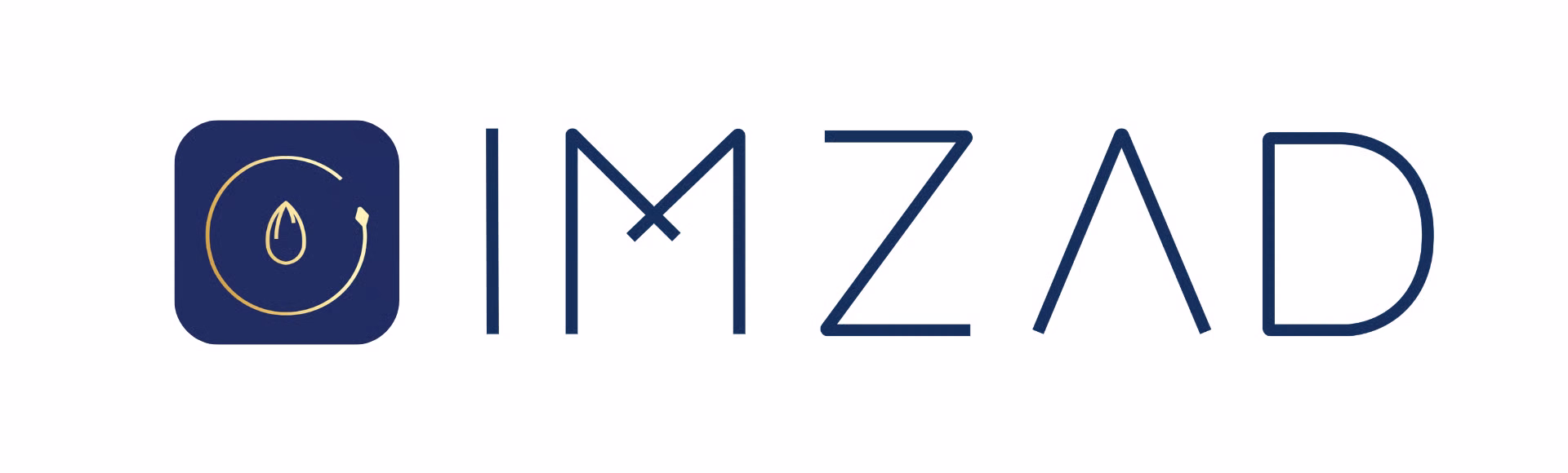 Maison Imzad